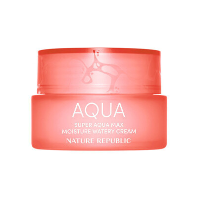 Super Aqua Max Moisture Cream 80ml (For Dry Skin)