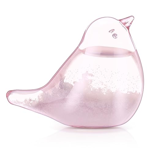 Weather Glass, Storm Glass Weather Forecaster, Bird Shape Bottle Liquid Barometer Weather Forecaster Weather Station for Office Desktop Home Decorative Christmas Birthday Valentines Day Gift