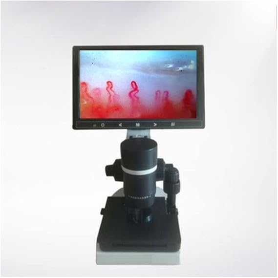 Microscope Accessories Kit Microcirculation Detector Digital Microscope Blood Microcirculation Instrument LCD Display Optional Microscope Slides (Color : 9inch LCD Box)