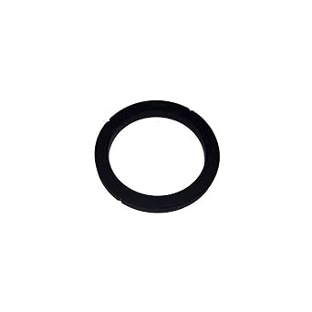 Rancilio Silvia Group Head Gasket - Genuine OEM Part by Rancilio