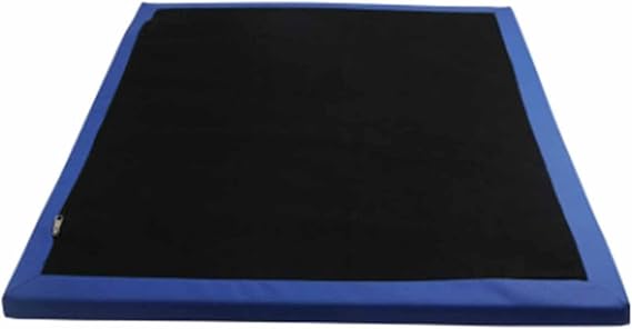 Shoe Solesdisinfecting Floor Mats, Sponge Entrance Mat(40x70cm) | Non-slip, Wear-resistant, Shoe Cleaner Rug, Highly Absorbent Microfiber Mat for Home Entrance Farm Indoor Outdoor Entryway