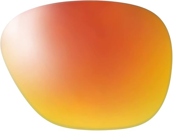 Reptile Smith Optics Bayside Polarized Sunglass Replacement Lenses 45 Options