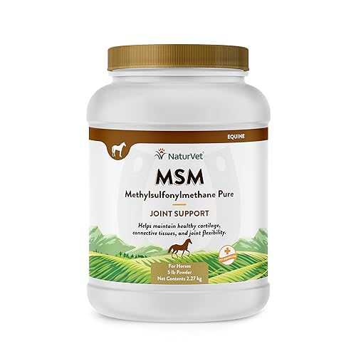 NaturVet MSM Pure Powder Jar 5 lbs. 1 Pack