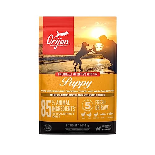 ORIJEN Grain Free High Protein Dry Dog Food Puppy Recipe 13lb Bag