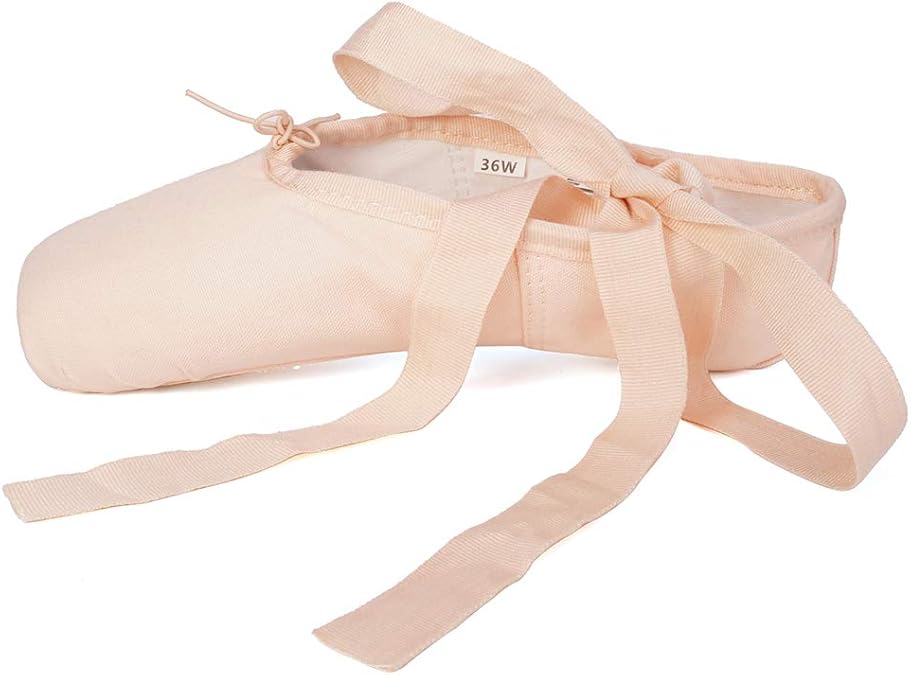 HROYL Ballet Pointe Shoes with Ribbon for Women&Girls Professional Pointe Shoes,ABC