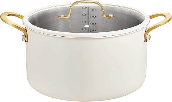BEZIA 6 Quart Full Clad Try-Ply Stainless Steel Stock Pot, Induction Ready