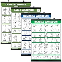 Palace Learning 4 Pack - Cable Machine Workout Posters Volume 1 & 2 + Dumbbell Exercises + Barbell Exercises (LAMINATED WITH PLASTIC FRAME 18" x 24")