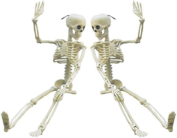 Anditoy 2 Pack 15" Full Body Halloween Skeletons Movable Joints Skeleton Toys for Indoor Outdoor Halloween Decorations Party Supplies Decor