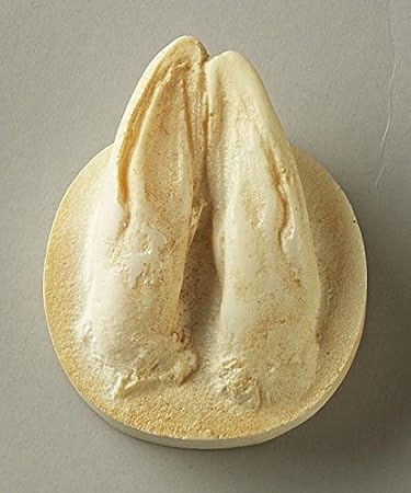 Deer Track Replica