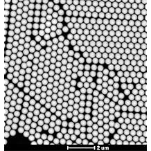 Alpha Nanotech Colloidal Silica Nanoparticles (20 nm, 10 ml, 10 mg/ml)
