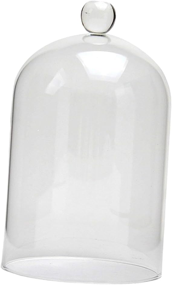 Handmade Dome Display Case Dustproof Glass Cover Unique Gift Ideas And Special Occasions Simple And Practical. Portable Eternal Flowers Lamp Cover, Transparent, M