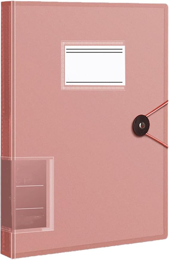 Binder with Plastic Sleeves, Heavy Duty Art Portfolio Folder with 30/60/80Pocket Clear Sheet Protectors, Document Organizer Binder,Red,30Pages