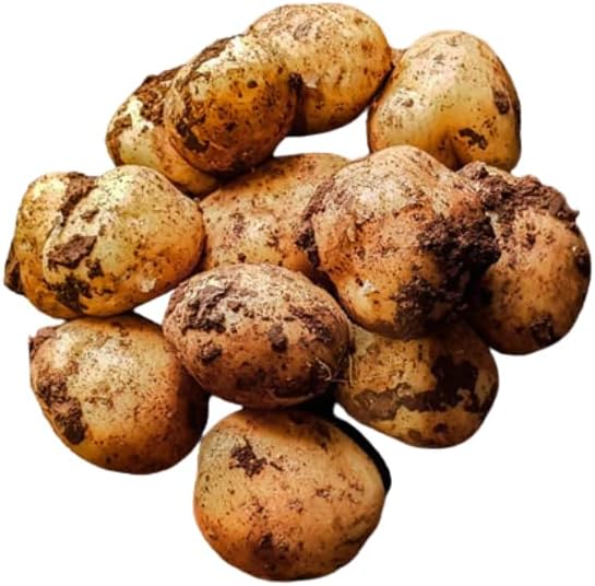 Cyprus Potatoes || 3KG || £14.99 || (3KG)