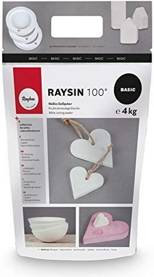 Rayger Raysin 100 Casting Powder White 4 kg
