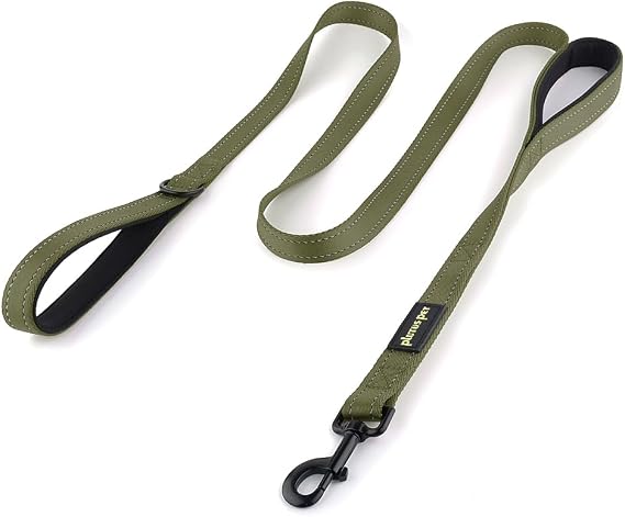 Plutus Pet Double Handle Dog Leash, 4 FT Long, for Medium Large Dogs