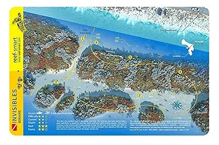 Invisibles Reefs Bonaire Waterproof Dive Card