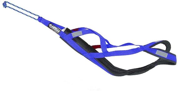 Neewa Pro Sled Dog Harness (Blue, Medium (Neck 17 Chest 29 Back 20))