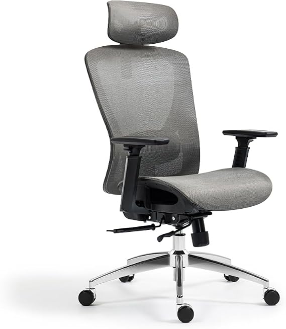 boulies Ergonomic Office Chair, Home Desk Chair, High Back Mesh Chair with Adjustable Seat Depth, Computer chair with lumbar support (Mesh, Grey)