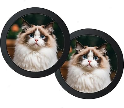 2 Pack Round Picture Frame 6 Inch Photo Frame Wall Hanging Picture Frames for Home Office Wall Decor, Black