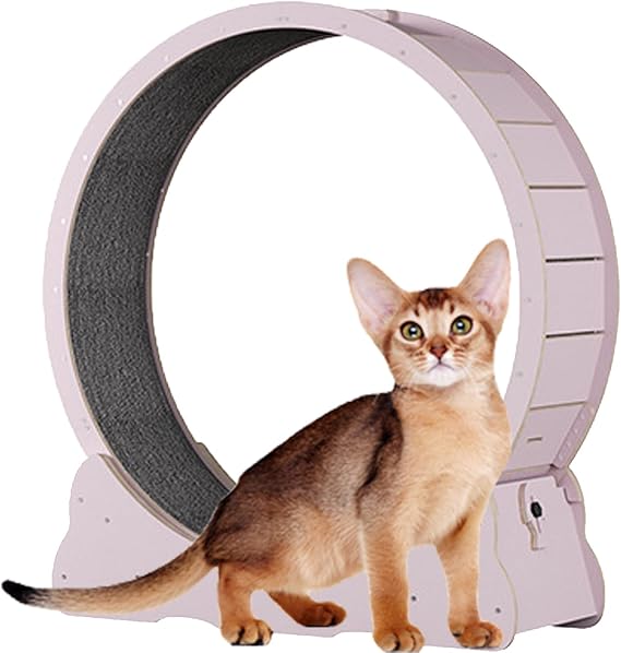 Cat Wheel for Indoor Cats, Wooden Cat Exercise Wheel, Cat Running Wheel with Brake, Cat Interactive Toy, with Lock and Carpeted, Fitness Weight Loss Device for Cats,Pink-XL