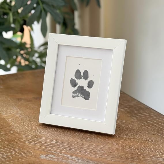 FUFİZU Tekli Evcil Hayvan Pati İzi ve Fotoğraf Çerçevesi - Kedi Köpek ve Kuş ile Uyumlu - Sadece Çerçeve