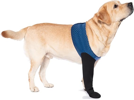COODEO Dog Socks to Prevent Licking Paws, Healing Boots & Paw Protectors with Non-Slip Bottoms for Wound Protection, Waterproof Sleeve Shoes for Licking(Blue,2XL_Right