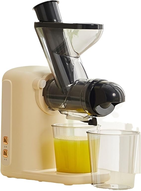 Cold Press Juicer Machine 100W, Slow Masticating Juicer Extractor for Fruits Vegetables & Herbs, Compact Automatic Juice Maker