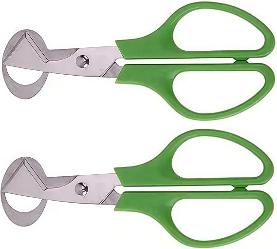 2Pcs Stainless Steel Egg Cutters,Quail Egg Scissors,Bird Egg Scissors,Egg Shell Cutters,Egg Opener Stainless,Steel Kitchen Shear Green