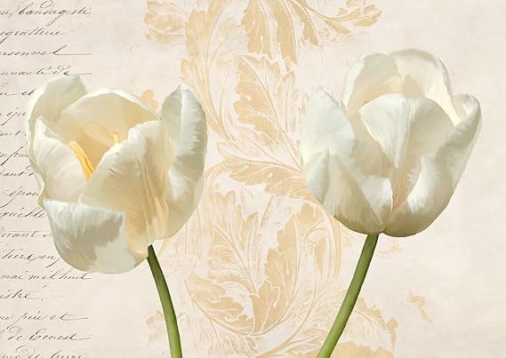 Two Tulips Poster Print - Elena Dolci (24 x 17)