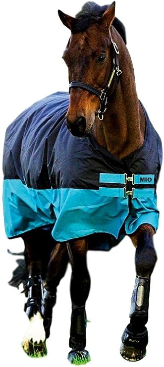 Amigo Mio Turnout Lite 0g Black/Turquoise 66