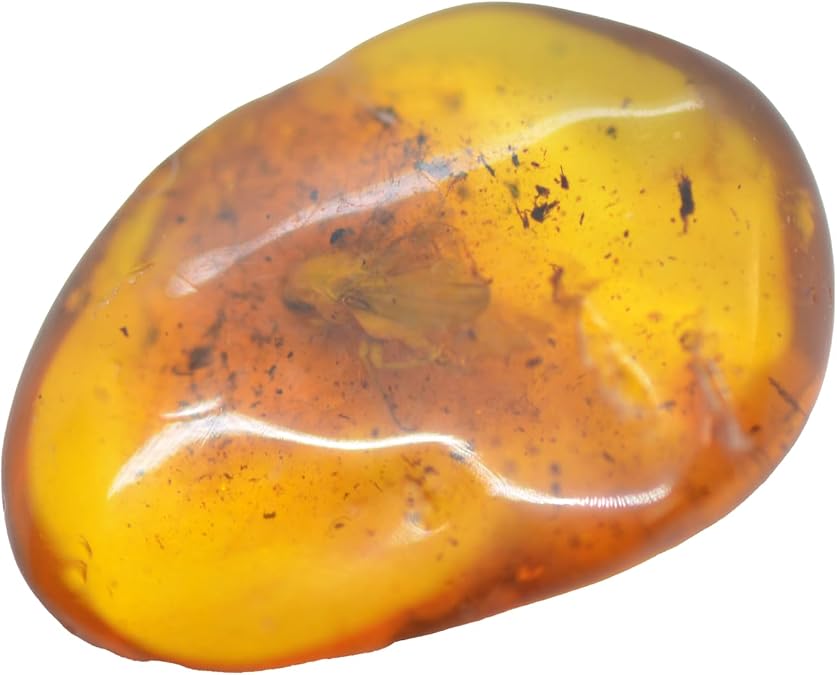 Baltic Amber with Fly Insect Natural stone - 0.81g