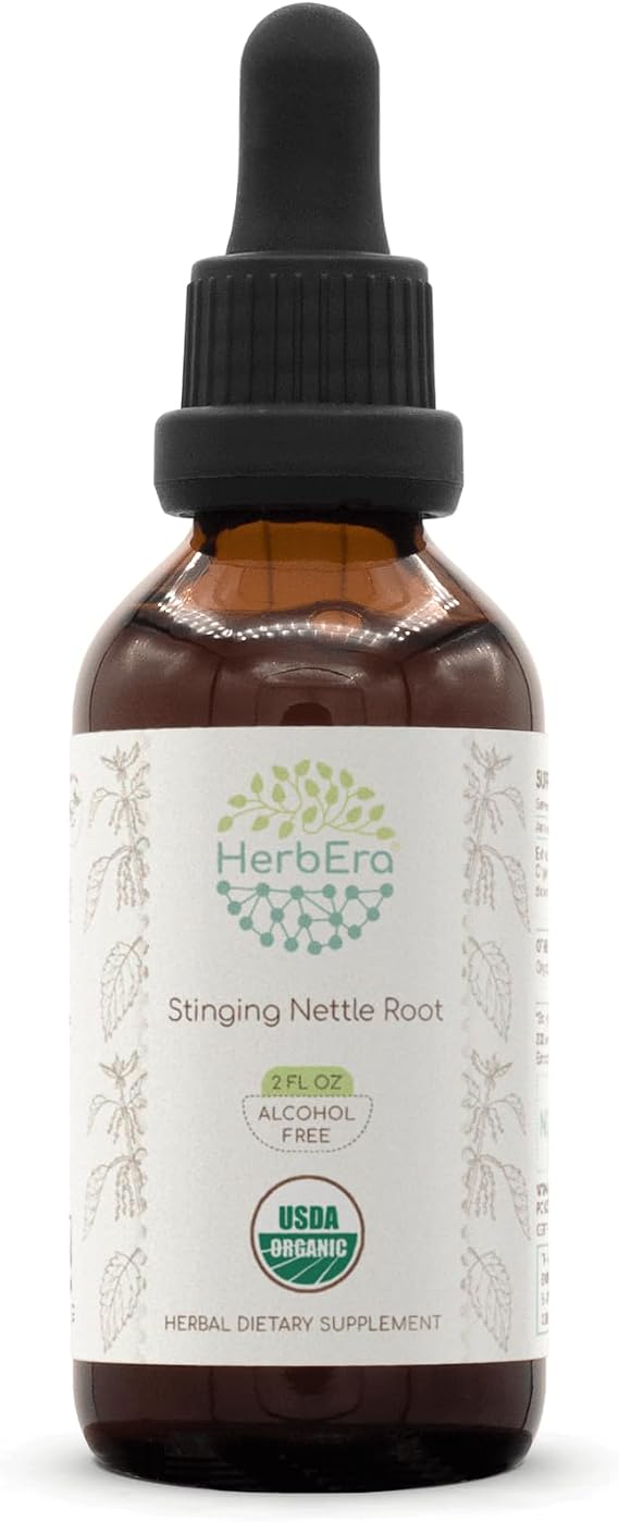 HerbEra Stinging Nettle Root B60 USDA Organic Tincture | Alcohol-Free Extract, High-Potency Herbal Drops | Certified Organic Stinging Nettle (Urtica dioica) Dried Root (2 oz)
