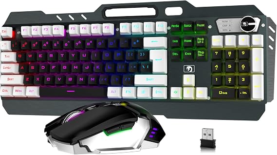 LexonElec K670 Wireless Gaming Keyboard and Mouse,16 Kinds RGB LED Backlit Rechargeable 5000mAh Battery Metal Panel,Mechanical Feel,Gaming Mute Mouse for PC Gamers(Black-White)
