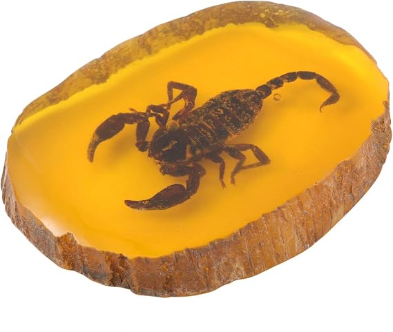 Amber,Artificial Amber Specimen Pendant Butterfly Scorpions Insects Stone Ornament for Collection(Scorpion)