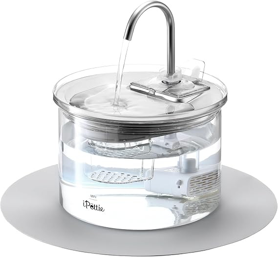 iPettie Glass Cat Water Fountain, Ultra Quiet Automatic Water Dispenser | 68oz/2L, 3-Stage Filtration, Easy Clean & Hygienic, 2 Spray Heads, Glass & Stainless Steel for Cats and Dogs