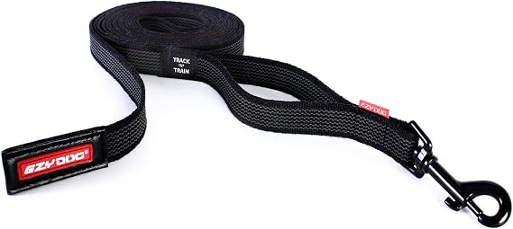 EzyDog Track and Train 16 Foot Premium Dog Leash - Black