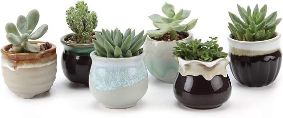 T4U Mini Ceramic Succulent Pots, Small Gift Planters, Retro Decor Set of 6