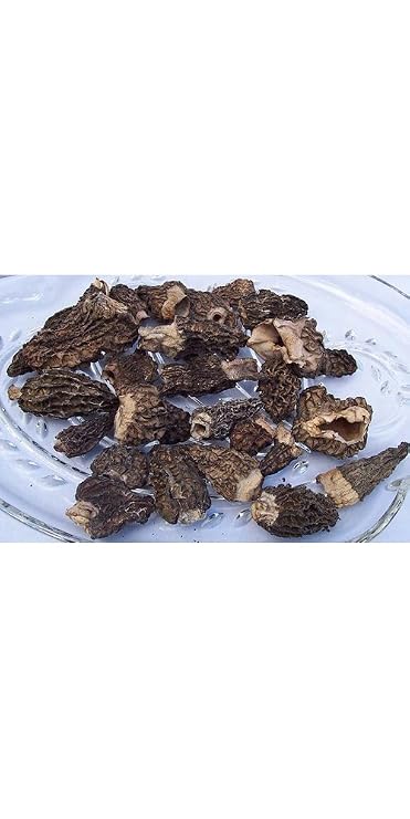 Dried Morel Mushrooms 1 oz