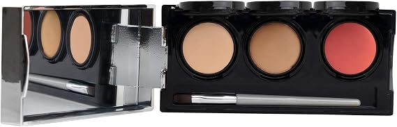 Tattoo Cover Up Makeup, Bruise Concealer, Waterproof, Smudge proof, 3 colors + brush, by Dermaflage, 6.9g/.24oz
