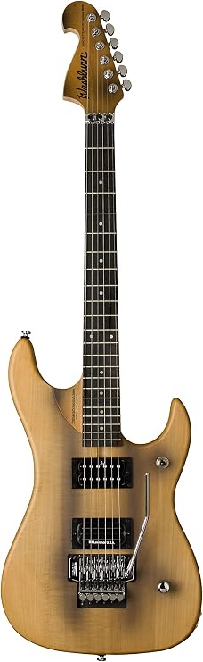 Washburn Nuno Bettencourt N24-Nuno Vintage Matte Electric Guitar With Gigbag (N24VINTAGEK-D)