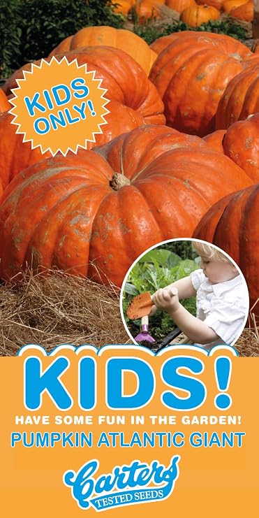 Carters Atlantic Giant Pumpkin Seeds Giant Heirloom Pumpkin Vegetable Seeds Easy Grow Outdoor Garden Fruit Produce