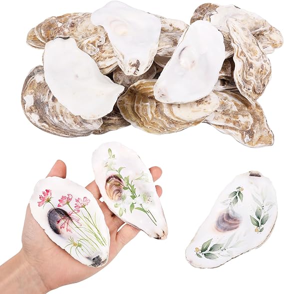 20Pcs Oyster Shells for Crafts,10-12cm Shells Oyster Ornament,Natural Sea Shell for DIY Crafts,Beach Theme Party, Wedding Decorations,Fish Tank Decorations and Vase Fillers,Home Decor