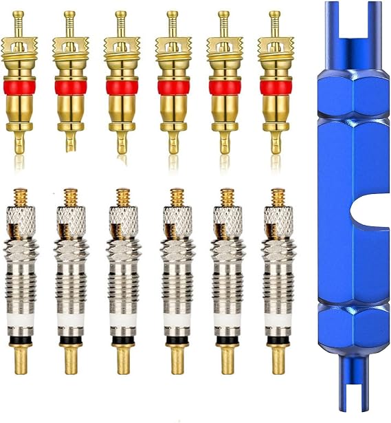13 PCS Valve Core Remover Tool Kit with Replacement Presta and Schrader Valve Core,Valve Core Remover Tool Repairing Tyre for Universal Car,Bike and Motocycle