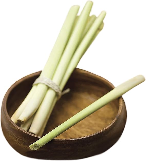 Park Seed Lemongrass Seeds