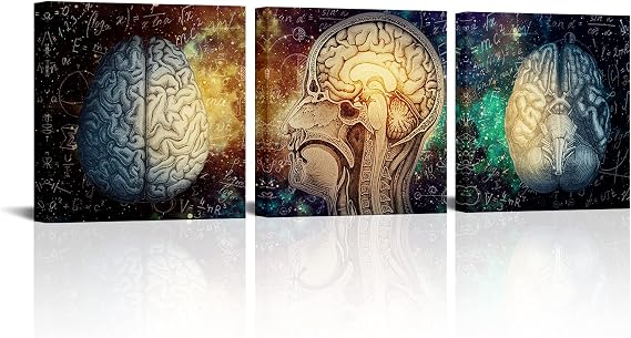 Conipit Brain Wall Art Canvas Left and Right Brain Painting Brain Functions Artwork Education Science Pictures Framed 12''x12''x3pcs