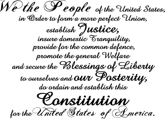 Constitution Vinyl Wall Decal - Large, Black