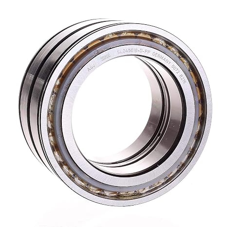 SL04-5018DPP INA New Cylindrical Roller Bearing