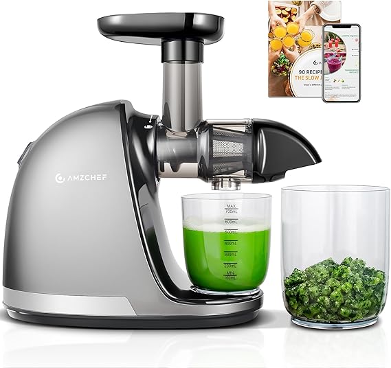 AMZCHEF Juicer Machines - Cold Press Slow Juicer - Masticating Juicer for Whole Fruits and Vegetables - Delicate Chew No Need to Filter - BPA Free Juice Extractor with 2 Cups and Brush - Grey [Energy Class A+++]