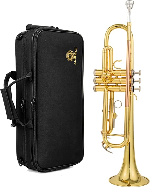 b flat beginner student trumpet with Rose brass leadpipe leadpipe | gold lacquer brass body stainless steel valves 7c mouthpiece and protective hard case starter set for beginners
