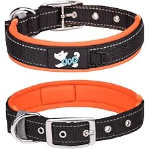 Comfortable Soft Neoprene Padded Dog Collar, Reflective Pet Collar, Adjustable Heavy Duty Nylon Dog Collar for All Breeds Large Dogs (XL, Orange)